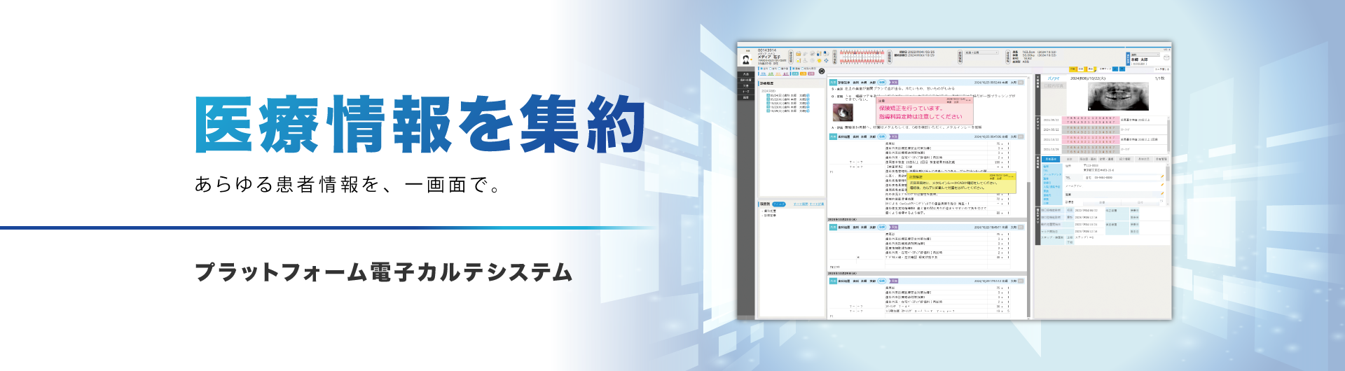 プラットフォーム電子カルテシステム