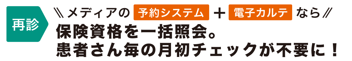 【再診】保険資格を一括照会。患者さん毎の月初チェックが不要に！